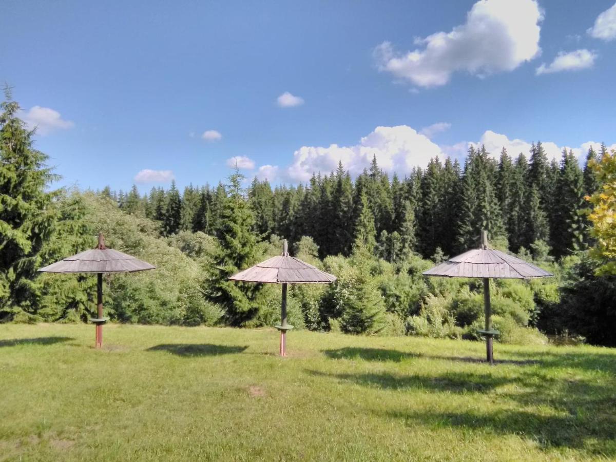 casa paltin cabane Poiana Stampei Esterno foto