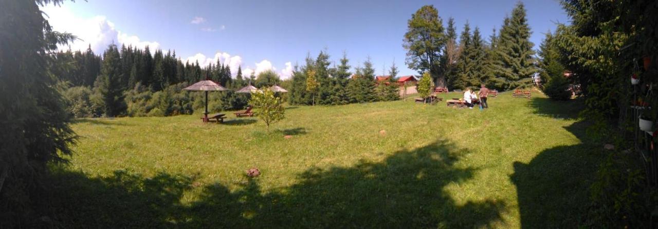 casa paltin cabane Poiana Stampei Esterno foto