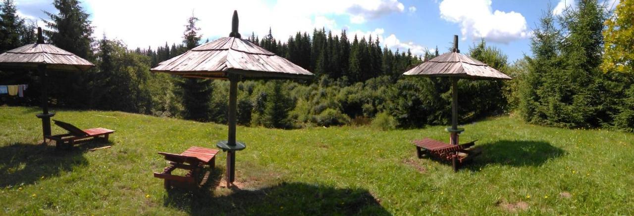 casa paltin cabane Poiana Stampei Esterno foto