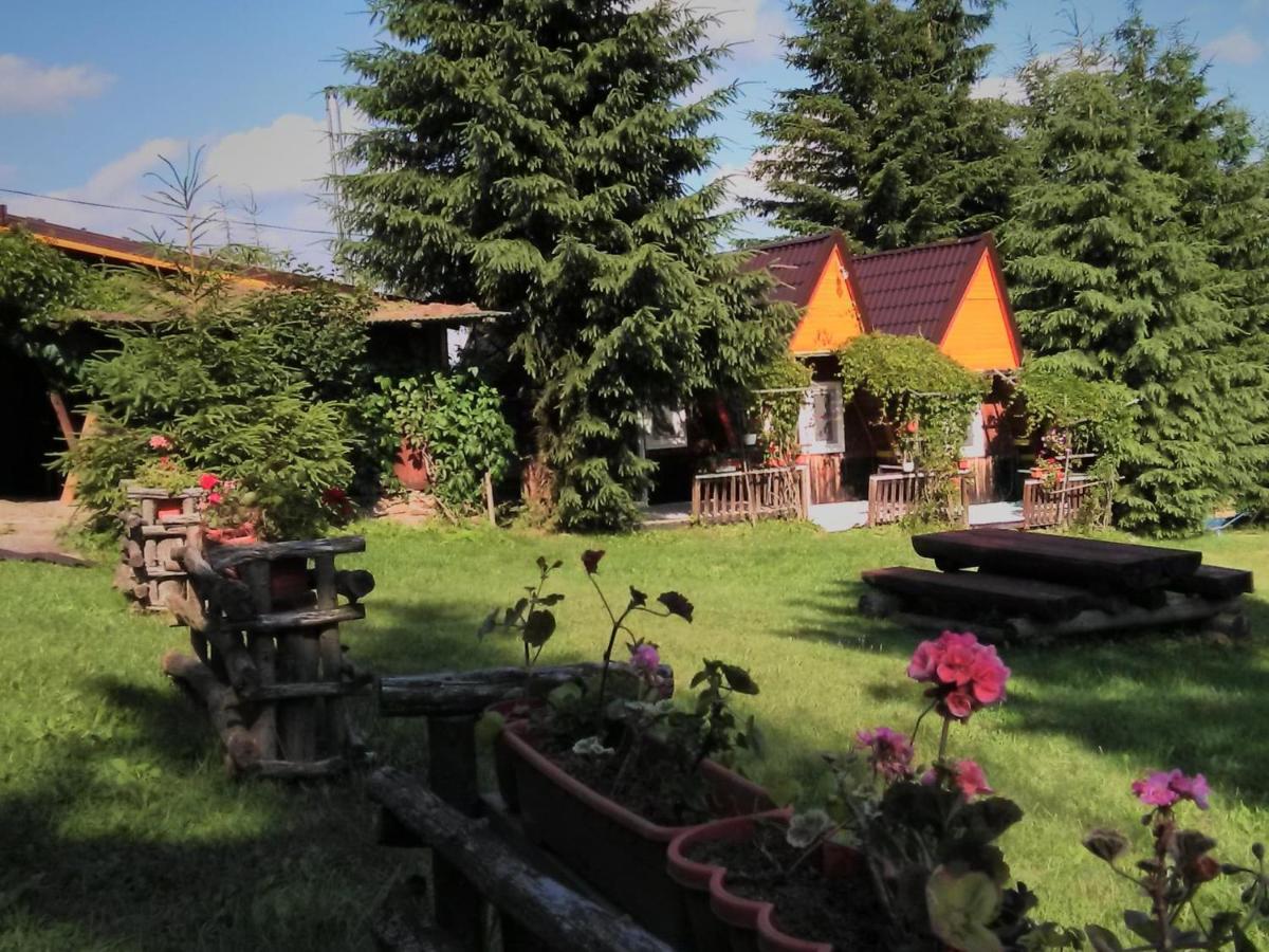 casa paltin cabane Poiana Stampei Esterno foto