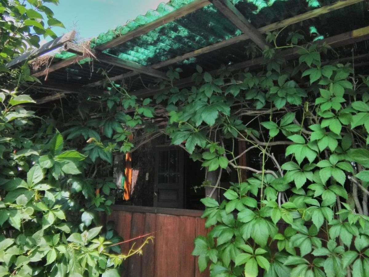 casa paltin cabane Poiana Stampei Esterno foto