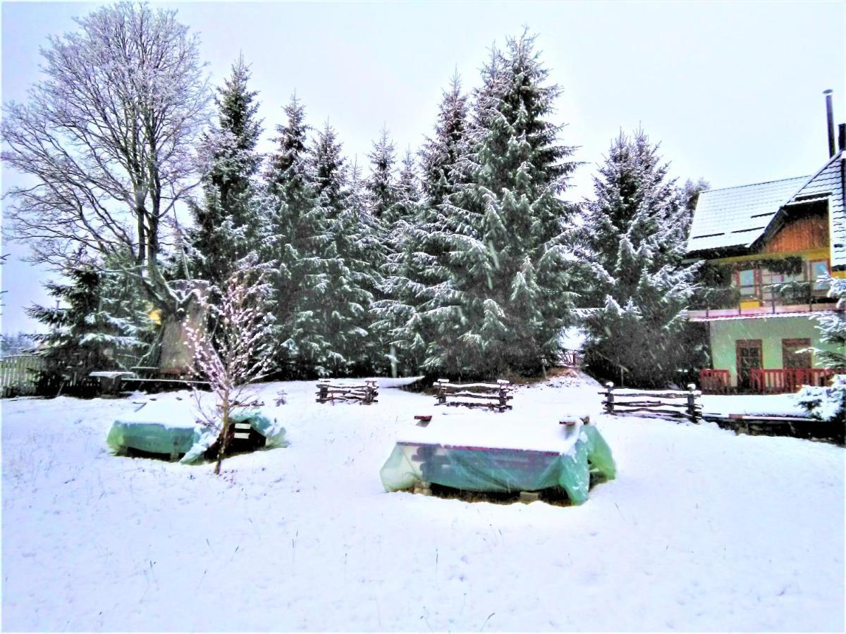 casa paltin cabane Poiana Stampei Esterno foto