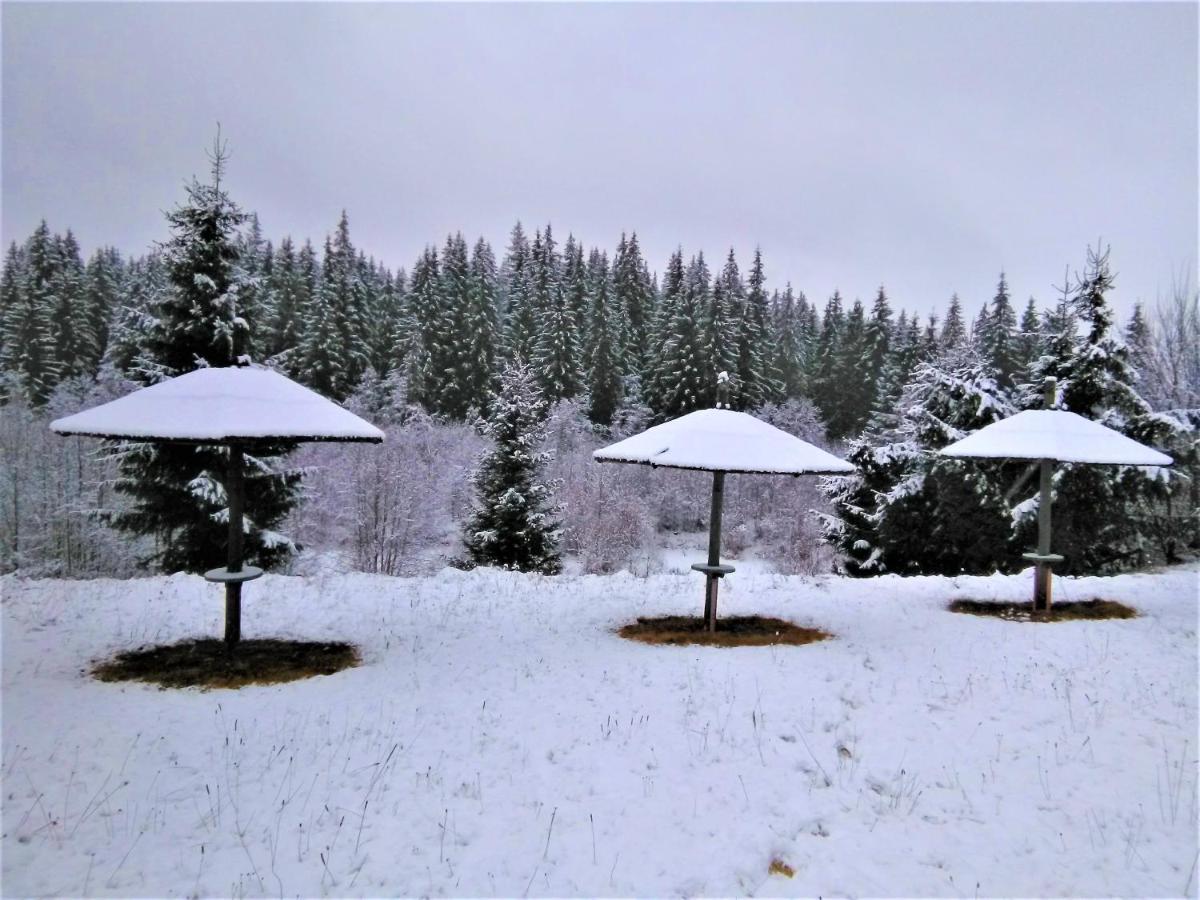 casa paltin cabane Poiana Stampei Esterno foto