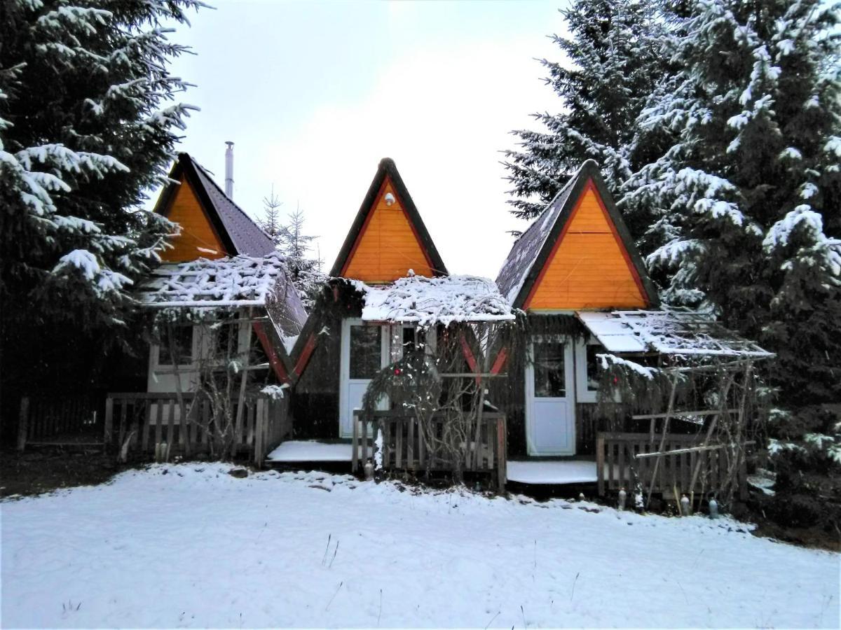 casa paltin cabane Poiana Stampei Esterno foto