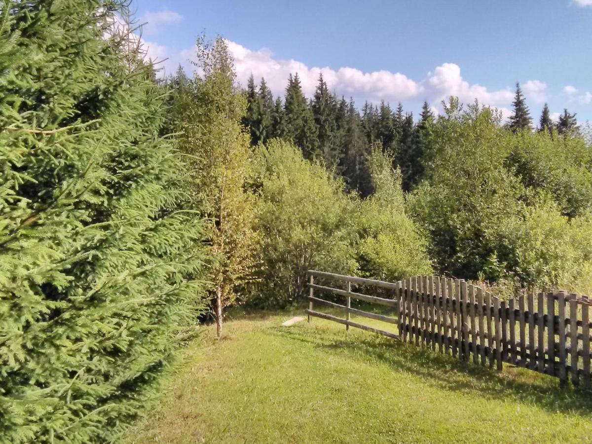 casa paltin cabane Poiana Stampei Esterno foto